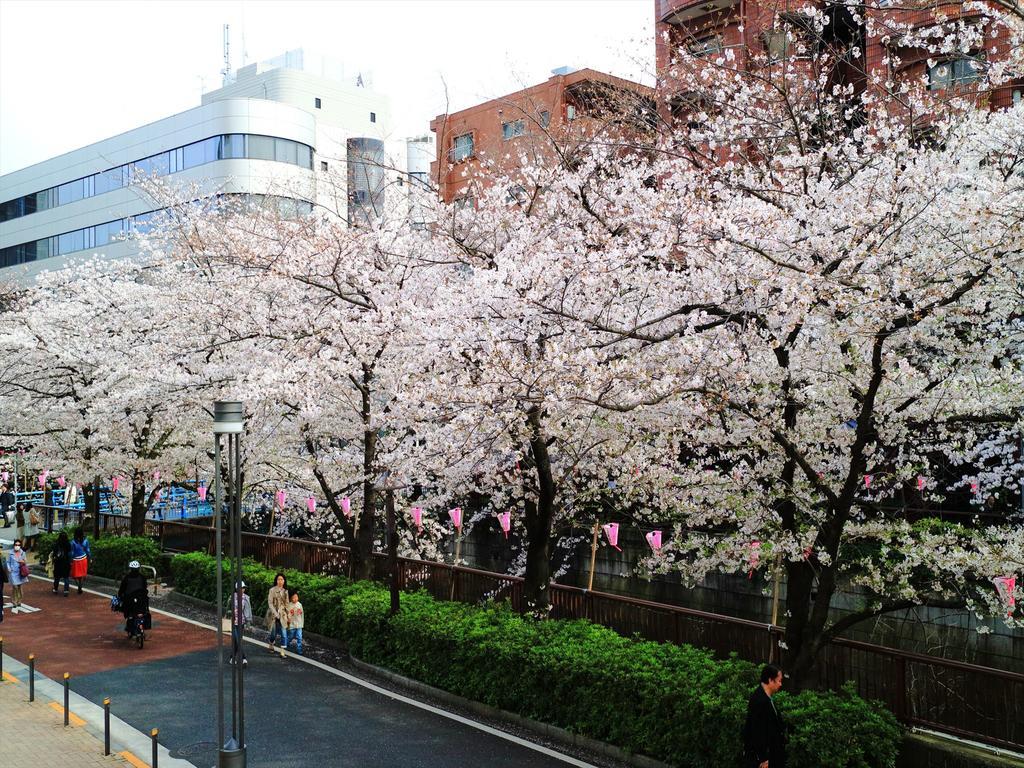 דירות Coto Tokyo Shibuya 2 מראה חיצוני תמונה